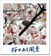̂镗i