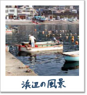 lӂ̕i
